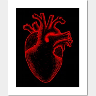 Human heart anatomy,I love my heart Posters and Art